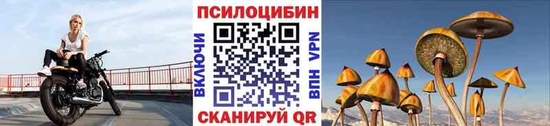 Псилоцибиновые грибы мицелий  Купить где  Уржум 